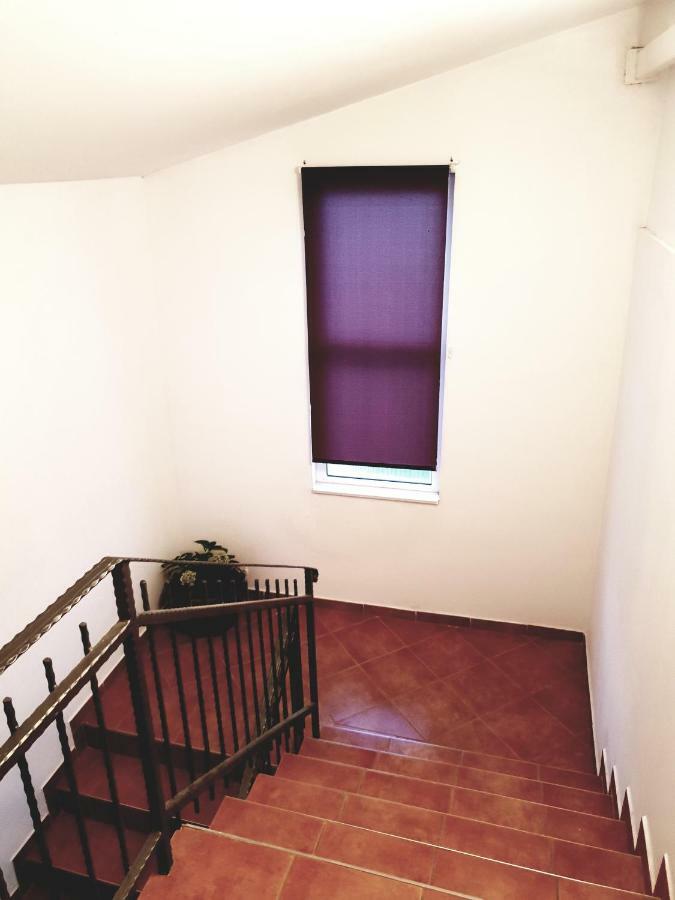 Apartments Petrovic Pirovac Exterior foto